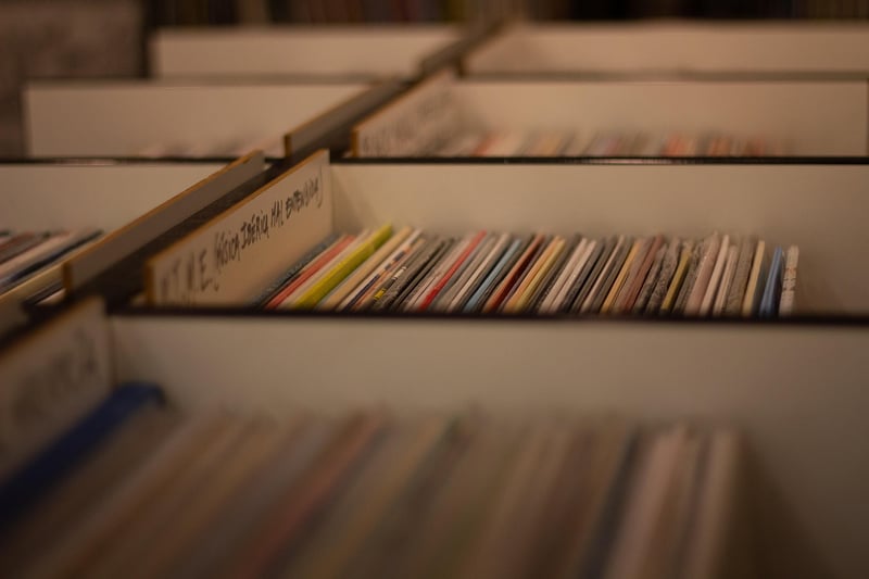 Vinyl Record Clutch