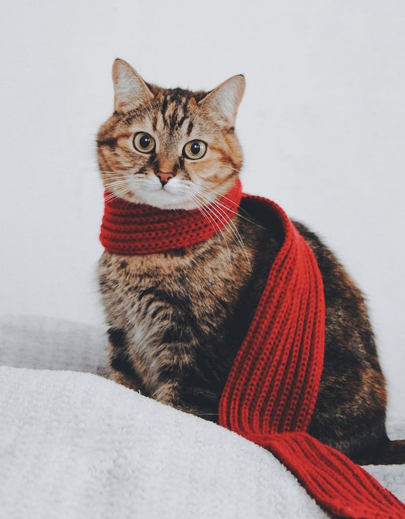 Vintage Scarf Top